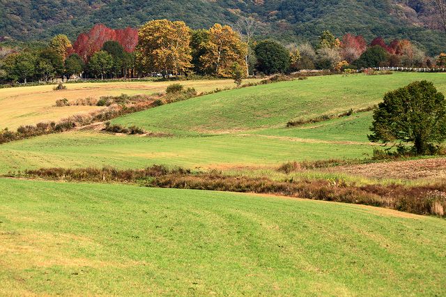 a0242438_183597.jpg