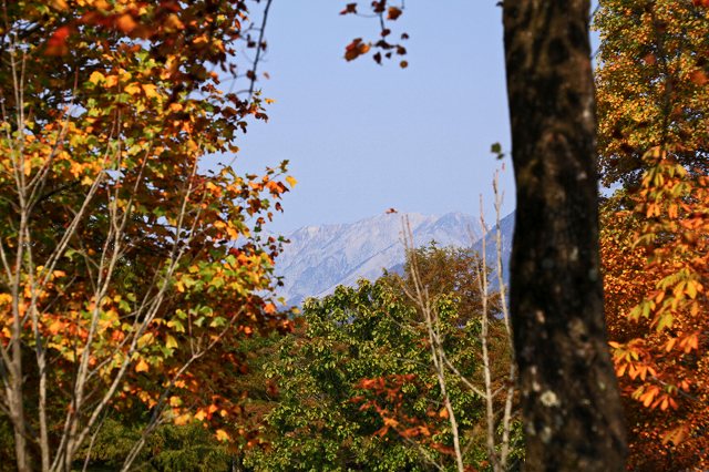 a0242438_1836885.jpg