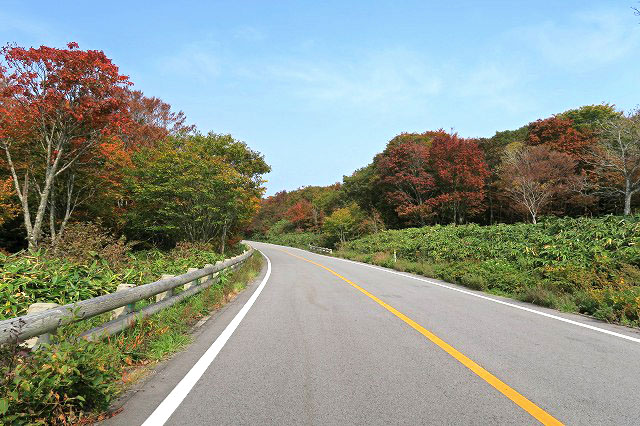 a0242438_18381176.jpg