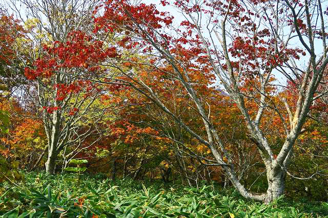 a0242438_1838672.jpg