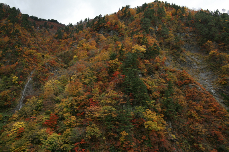 f0032042_171710100.jpg