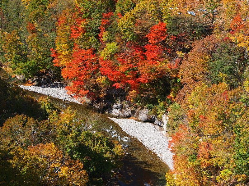 a0106043_22161266.jpg