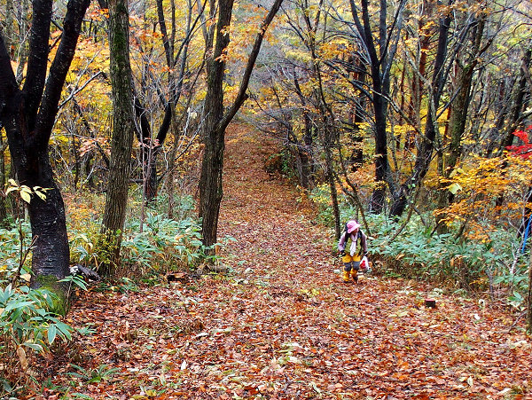 c0081645_22135923.jpg