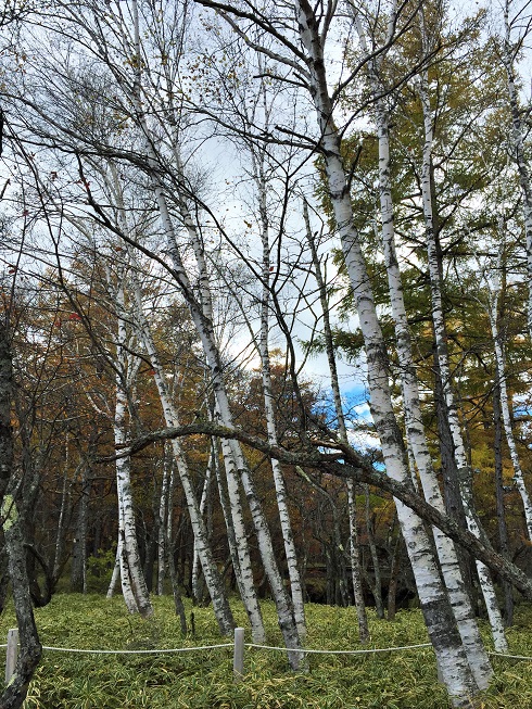 e0019550_9295997.jpg