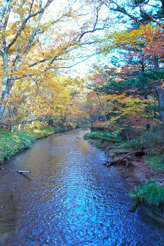 e0019550_932563.jpg