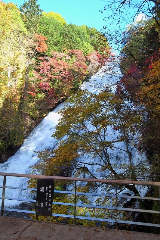 e0019550_9331385.jpg