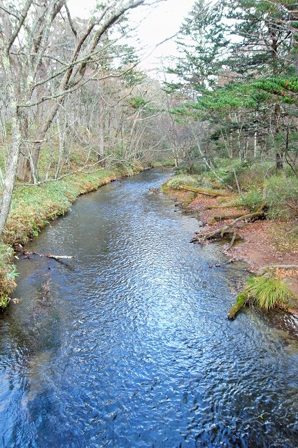 e0019550_9344770.jpg