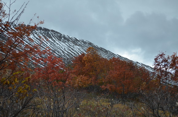 e0120466_22120182.jpg