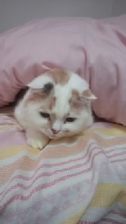 f0200871_0101563.jpg