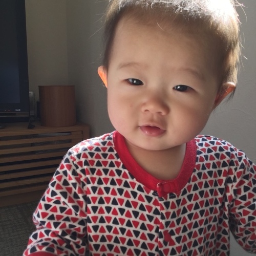 d0041575_21352580.jpeg
