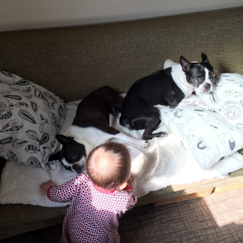 d0041575_21381630.jpeg