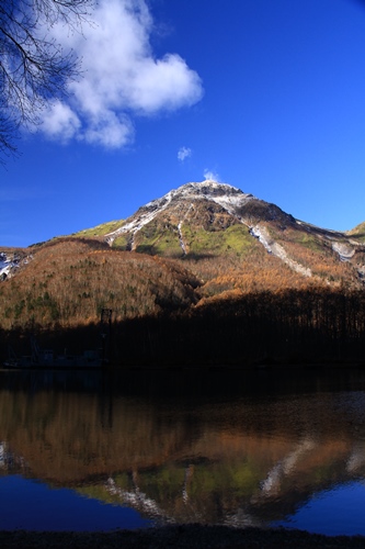 d0126577_2255969.jpg