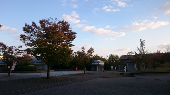 c0325278_18492818.jpg