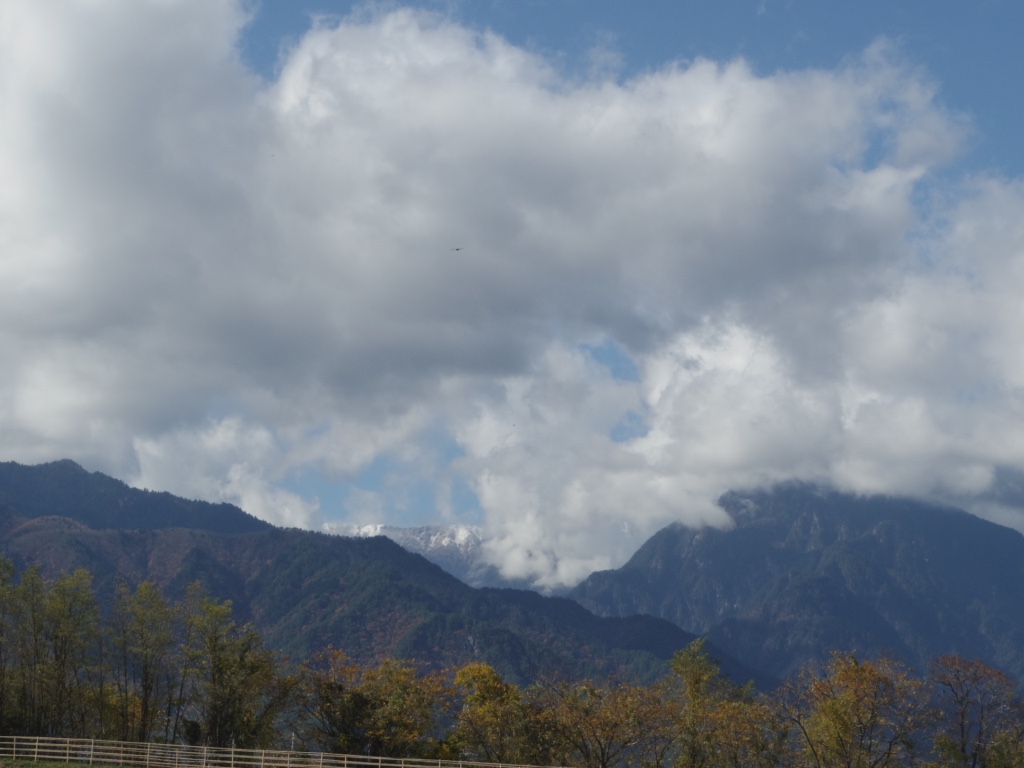 a0034487_1955887.jpg