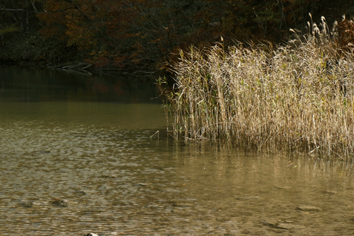 c0193289_07181542.gif