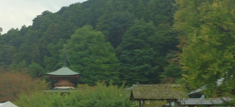 b0039898_15161249.jpg