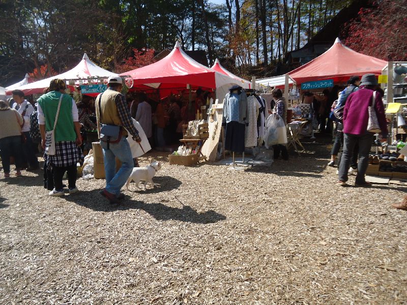 b0248920_333262.jpg