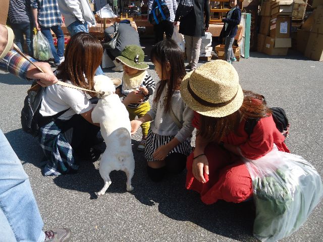 b0248920_8134473.jpg