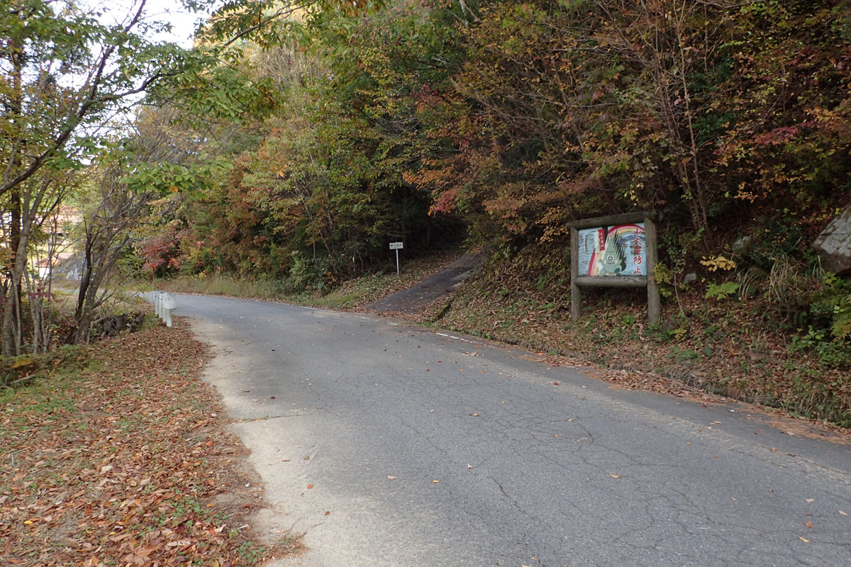 c0064025_22542490.jpg