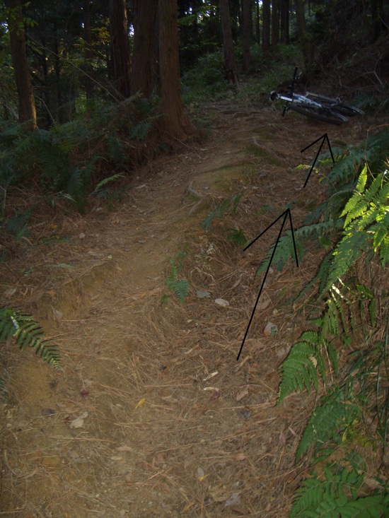 b0222530_6124699.jpg