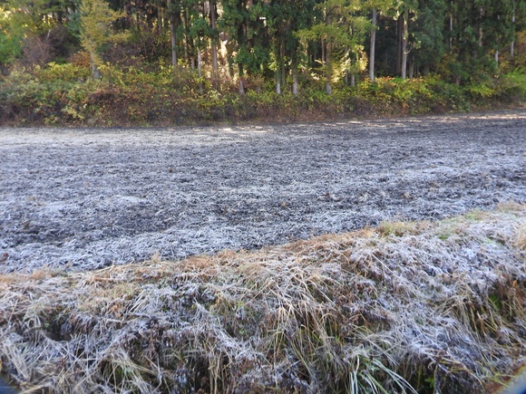 f0118332_21273536.jpg