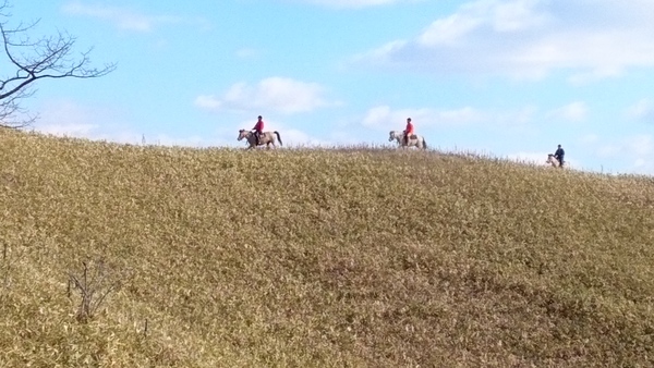 c0229433_11541171.jpg