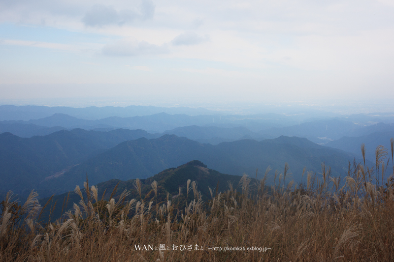 d0289733_20302368.jpg