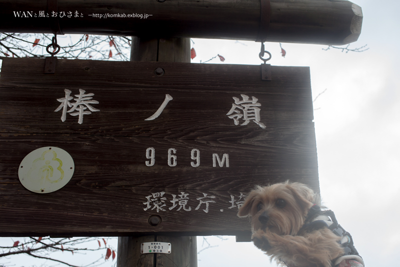 d0289733_20314780.jpg