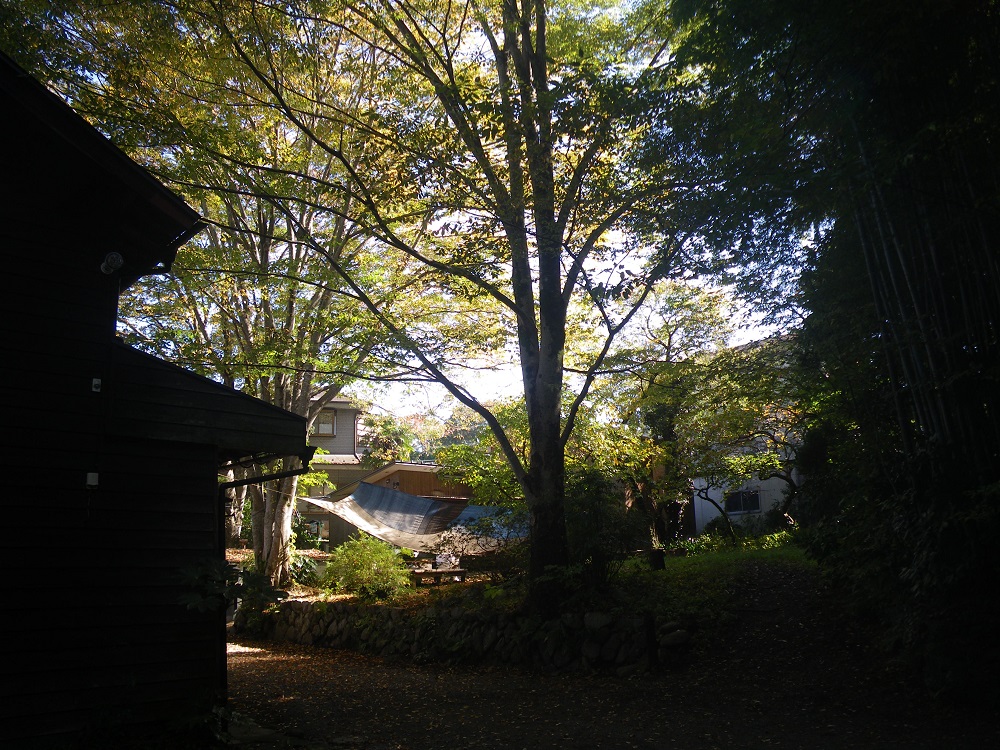 c0033636_0472689.jpg