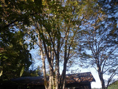 c0033636_0483765.jpg