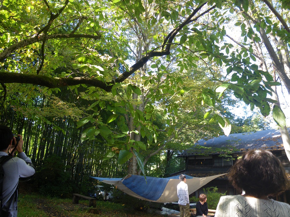 c0033636_048579.jpg