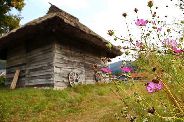 a0242438_19352327.jpg