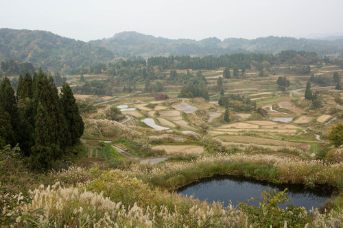 c0153446_21201578.jpg