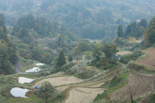 c0153446_21382926.jpg