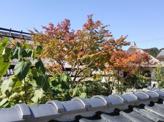 c0331446_22595186.jpg