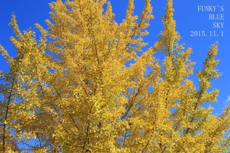 c0145250_11233291.jpg