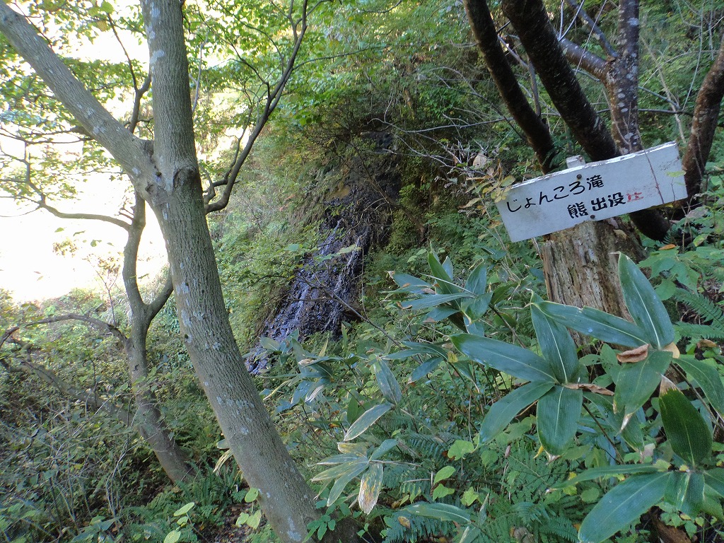 b0234354_22423719.jpg