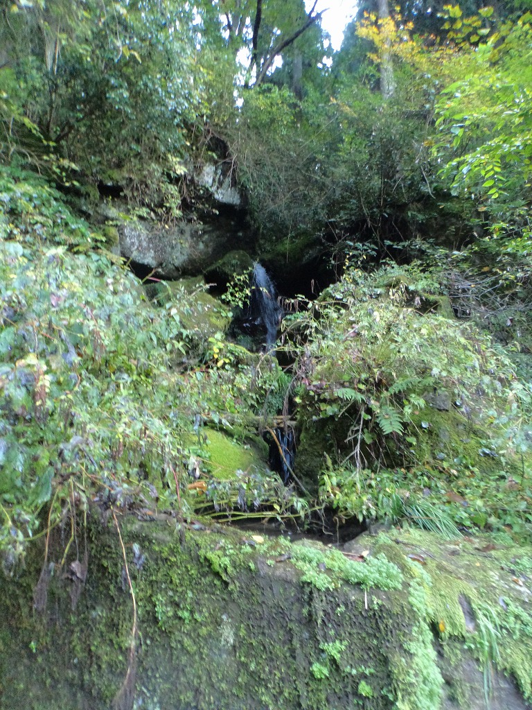 b0234354_22523620.jpg