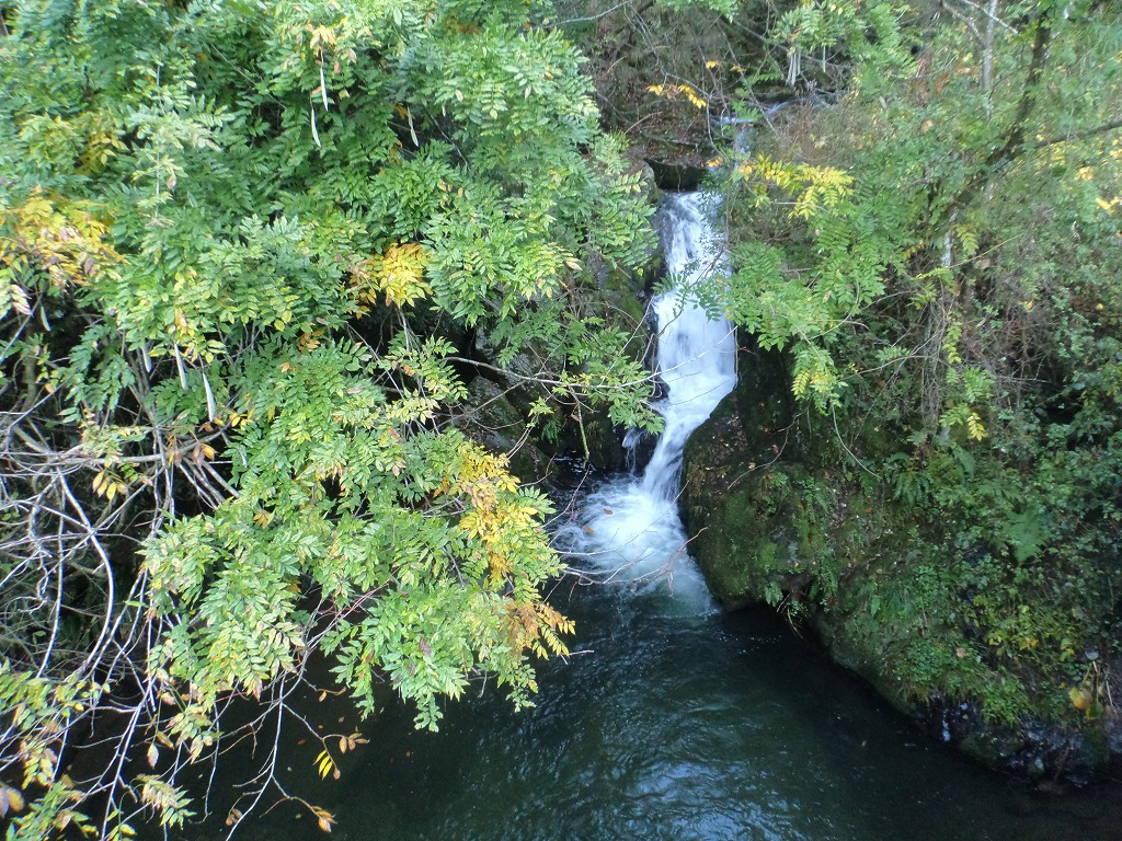b0234354_2253122.jpg