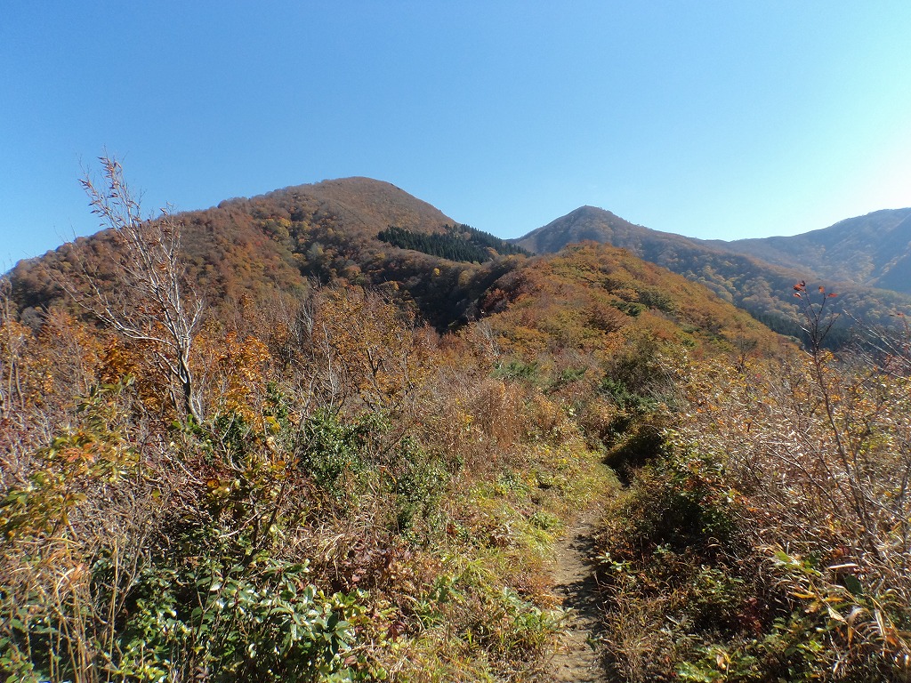 b0234354_22544230.jpg