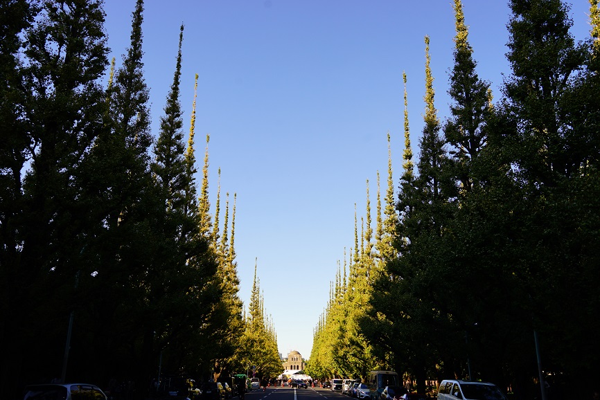 c0350754_1359814.jpg