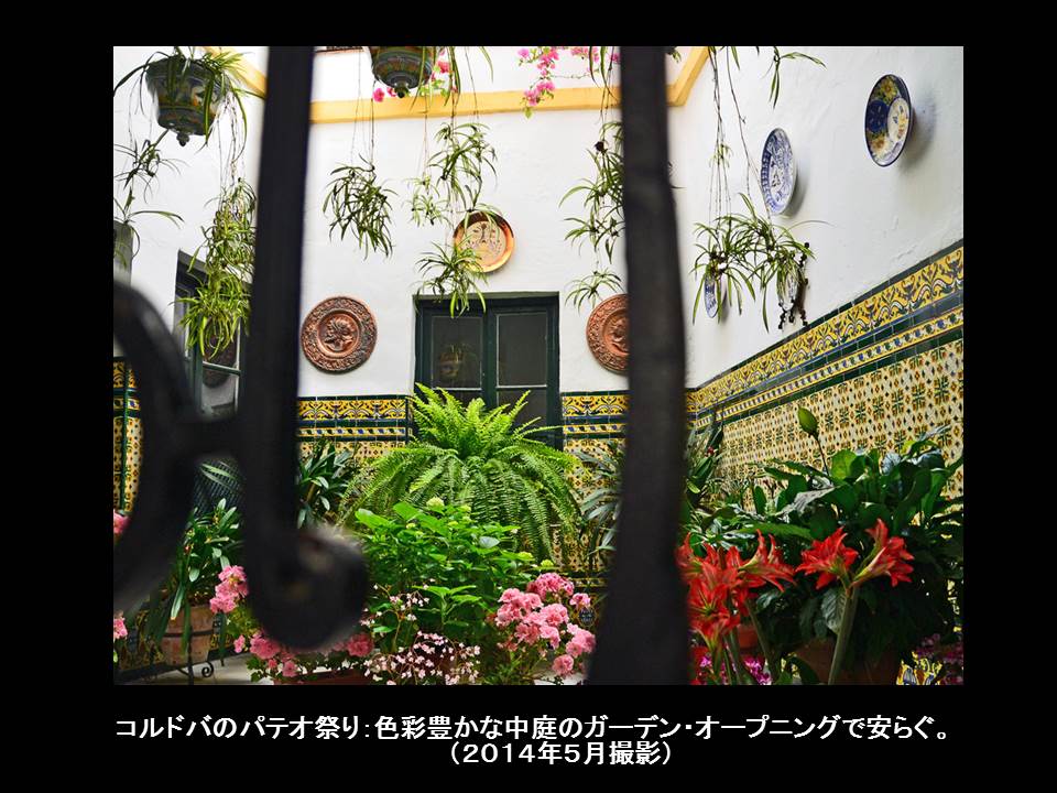 a0261857_12302710.jpg