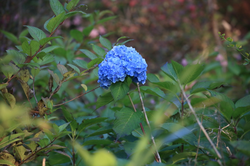 f0230458_20184170.jpg