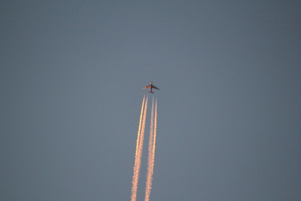 c0185364_12573266.jpg