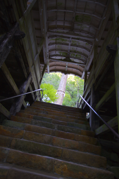 c0163369_23352684.jpg