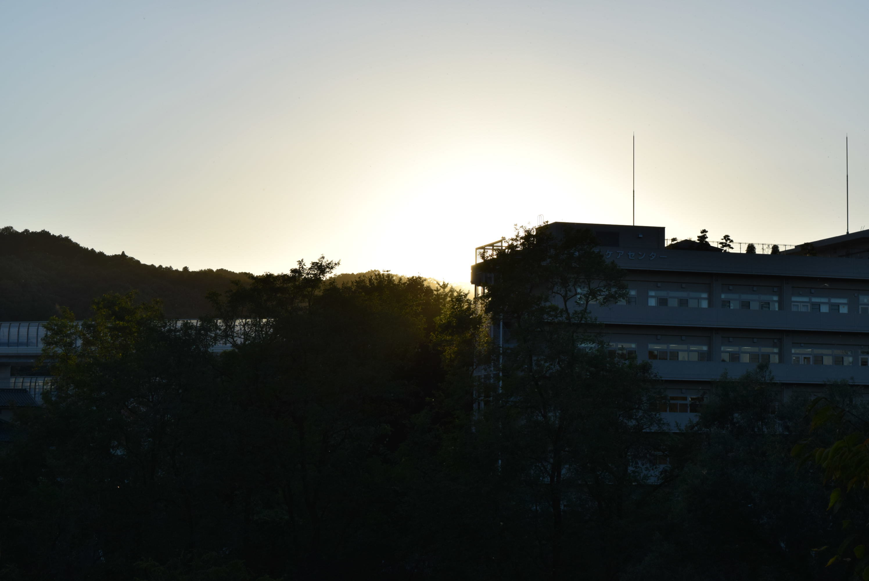 b0242873_13012358.jpg