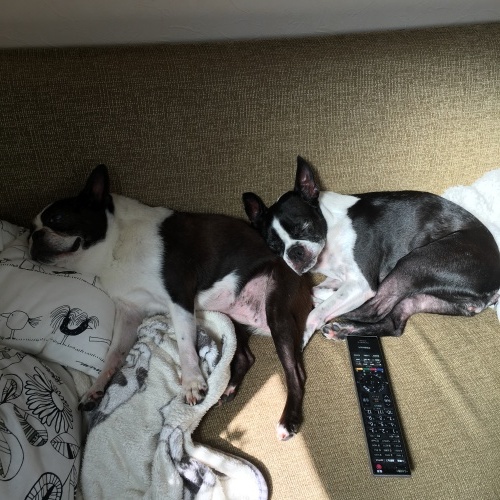 d0041575_21312919.jpeg