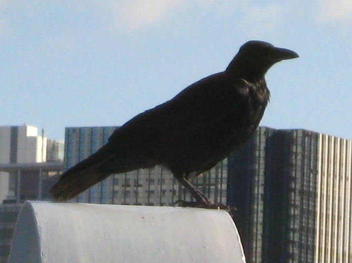 b0057679_991551.jpg