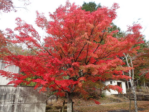 f0223480_21382090.jpg