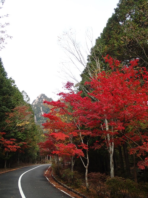 f0223480_2140976.jpg